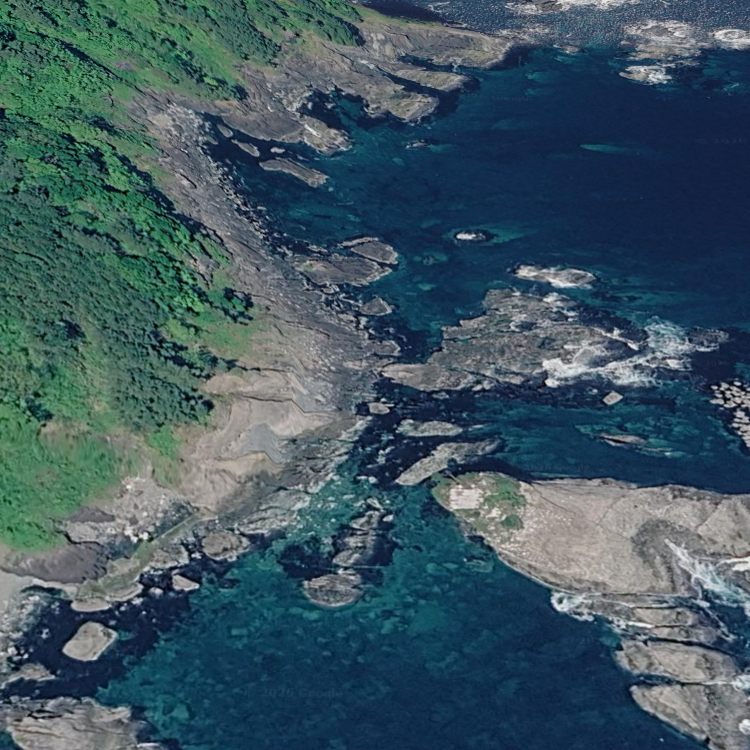 茂師海岸