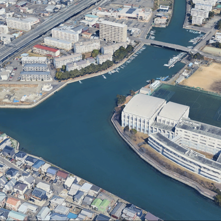 桟橋(ワカメ)